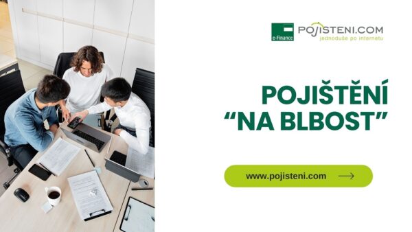 Pojištění odpovědnosti zaměstnance aneb „Pojistka na blbost“